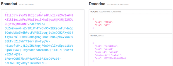 Image shows jwt.io with only the generated JWT pasted into the field