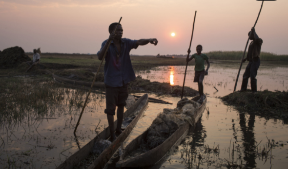 Fisherman in Africa in their canoes during the sunset. There are nets in their boats.