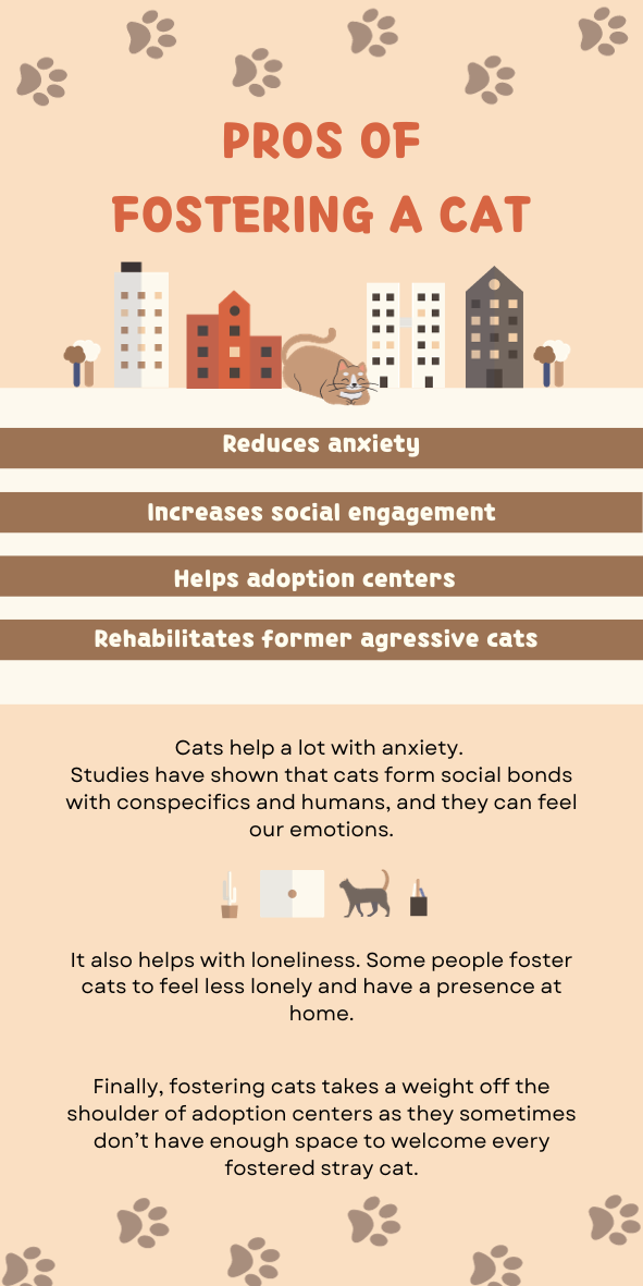 Reduces anxiety Increases social engagement Helps adoption centers Rehabilitates former agressive cats Cats help a lot with anxiety. Studies have shown that cats form social bonds with conspecifics and humans, and they can feel our emotions. It also helps with loneliness. Some people foster cats to feel less lonely and have a presence at home. Finally, fostering cats takes a weight off the shoulder of adoption centers as they sometimes don’t have enough space to welcome every fostered stray