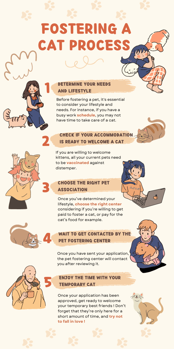 1. Determine Your Needs and Lifestyle. 2. Check if your accommodation is ready to welcome a cat. 3. Choose the right pet association. 4. wait to get contacted by the pet fostering center. 5. Enjoy the time with your temporary cat.