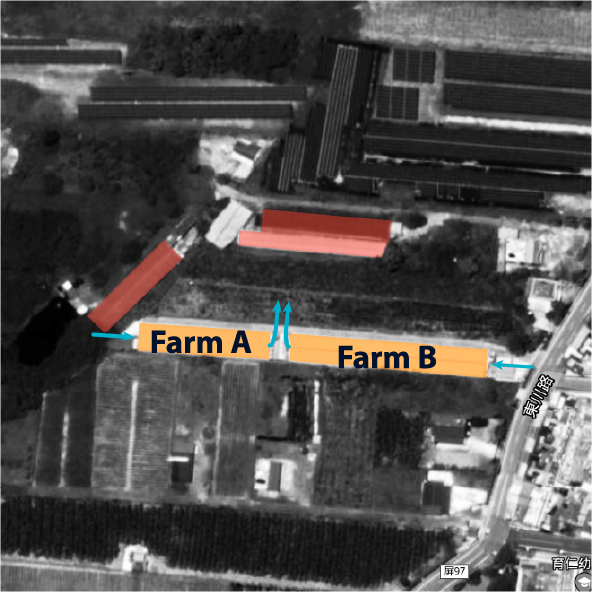 Aerial view of Mr. Wang’s two broiler farms (Farm A and Farm B) in Taiwan