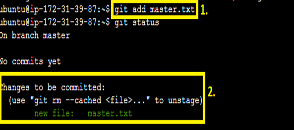 Stage the “master.txt” file