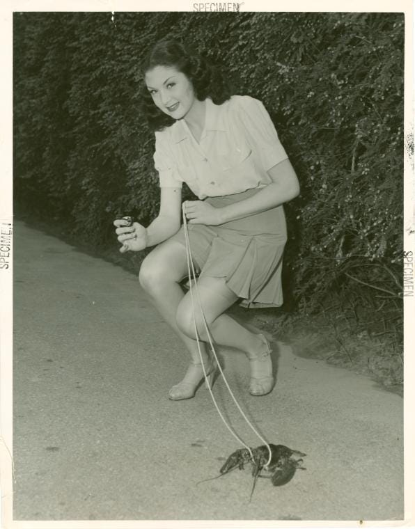 A woman with a leashed lobster