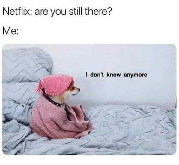 Netflix meme — Are you still here? I don’t know anymore