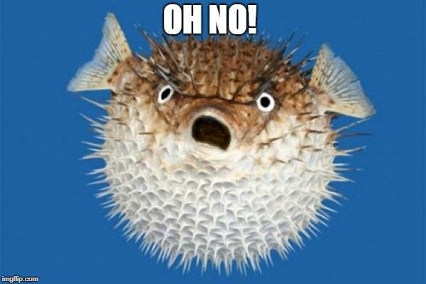 An image of a pufferfish looking concerned with the caption “OH NO!”