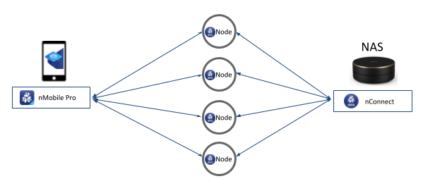 Fig1: NKN Tunnel via multiple parallel relay node