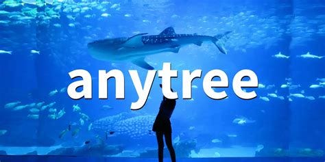 Créer des Arbres Stylisés avec Python : Graphviz et Anytree