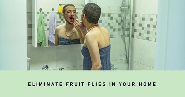 how to get rid of fruit flies in bathroom and kitchen