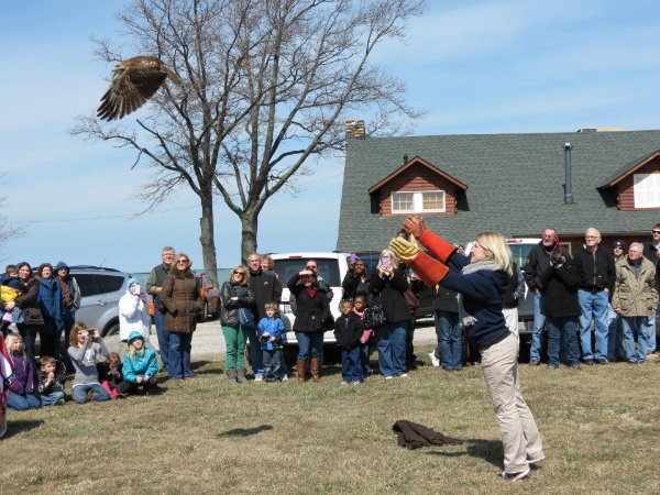 Witnessing another happy ending. Photo Courtesy of Back to the Wild 