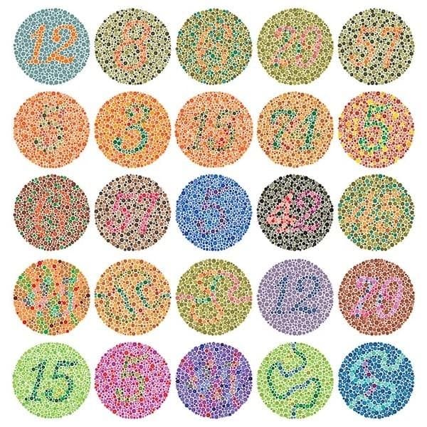 Example of the Ishihara color tests — The test consists of a number of Ishihara plates, which are a type of pseudoisochromatic plate. Each plate depicts a solid circle of colored dots appearing randomized in color and size.[3] Within the pattern are dots which form a number or shape clearly visible to those with normal color vision, and invisible, or difficult to see, to those with a red-green color vision defect.