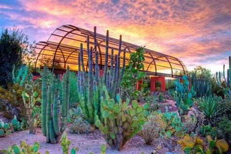 Top 5 Things To Do Near The Phoenix Airport