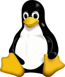 Demystifying the “ls” Command in Unix/Linux