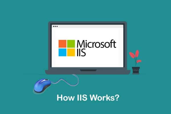 How to Deploy ASP.NET Core Application to IIS on Windows Server | Complete Step-by-Step Guide