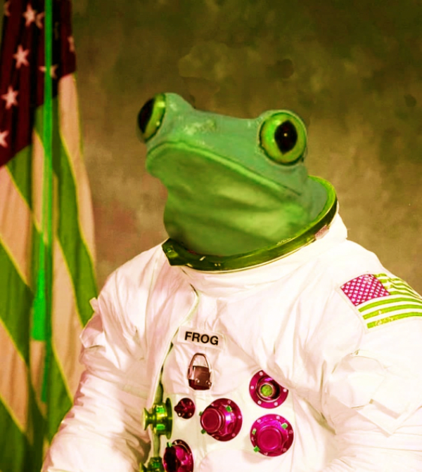 a proud space frog, very valuable jpg and honorary Gyroscope user