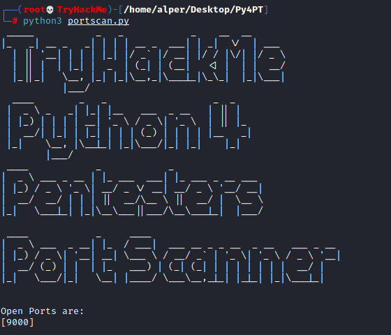 Python for Pentesters | Tryhackme Walkthrough