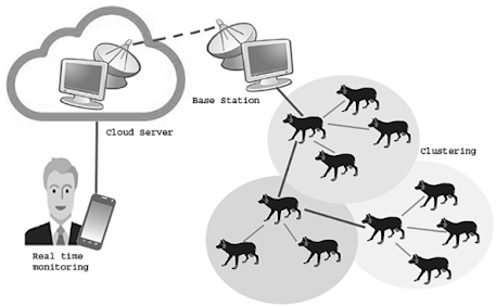 Wildlife IoT: Saving Species with Smart Tech