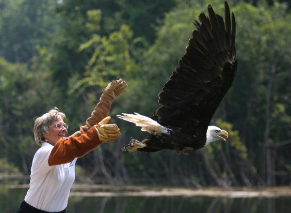 Back to the Wild founder, Mona Rutger, releasing an eagle she nursed back to health. Photo Courtesy of Back to the Wild 