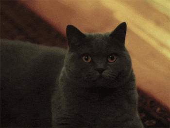 9 new CSS features that are quietly firing your JavaScript.