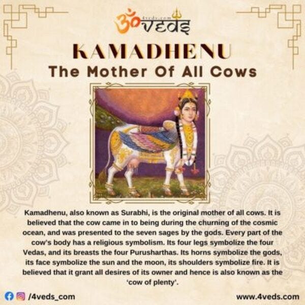 Kamadhenu The Original Mother Of All Cows