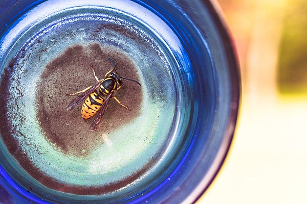 bee