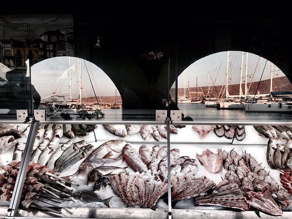 Fresh Seafood Display Case ar Ali Baba Restaurant in Alacati, Turkey