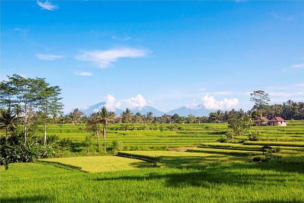 Property of the day — Lokha Ubud, Bali, Indonesia.