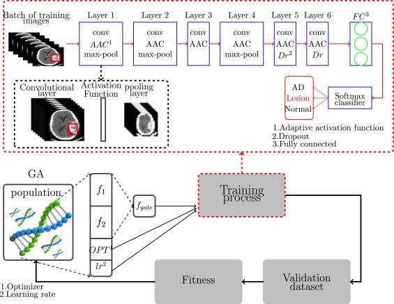 Harnessing the Power of Adaptation: Revolutionizing Deep Learning with Locally Adaptive Activation…