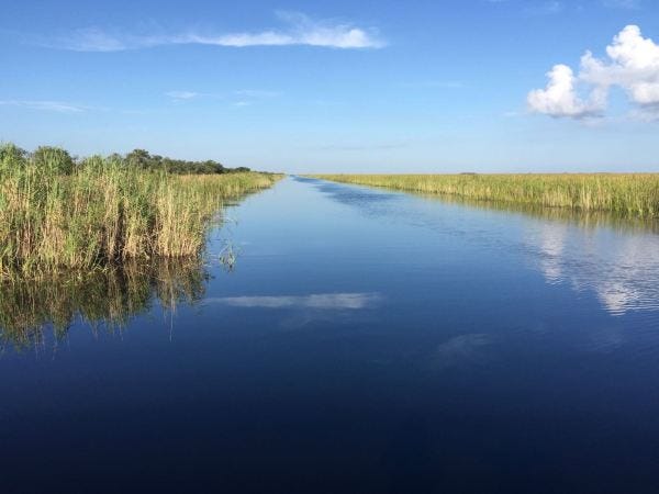 Everglades