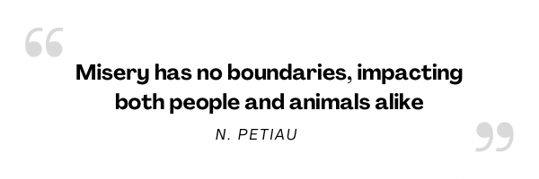 An image with a quote by Nikol PETIAU ‘’Misery has no boundaries, impacting both people and animals alike’’