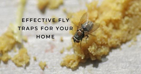 10 White Vinegar Fly Traps To Get rid of House Flies