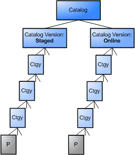 Category, Catalog and Catalog Version in hybris