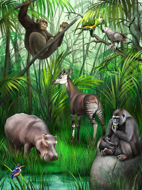 Image showing the diversity of animals.