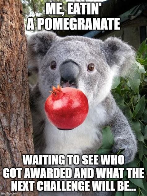 Pomegranates and Territory Wars