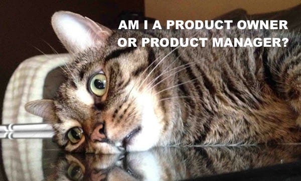 Um gatinho deitado em crise existencial por não saber se é um product owner ou um product manager.