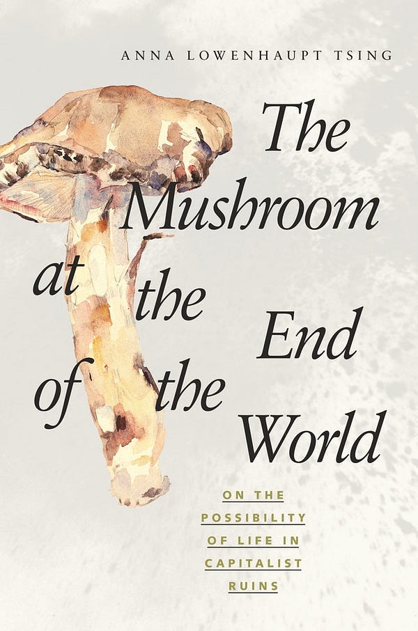 The Mushroom at the End of the World.