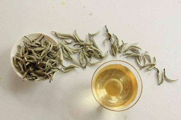 fuding white tea