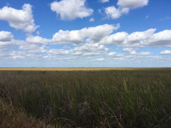 Ciel de Floride