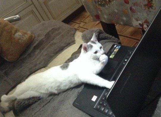 Python, Veri, AI, Frontend, Mobile…