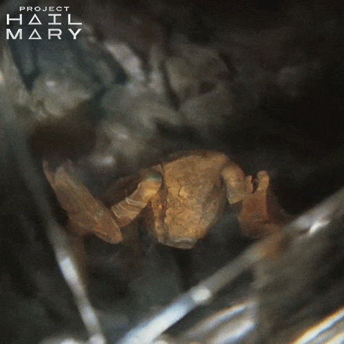 Project Hail Mary Proves Science Is Way More Exciting When Rocky Is In