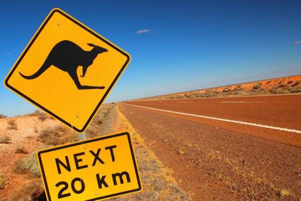 Kangaroos crossing.