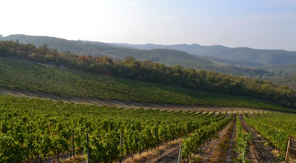 The drive up to the Castello di Meleto