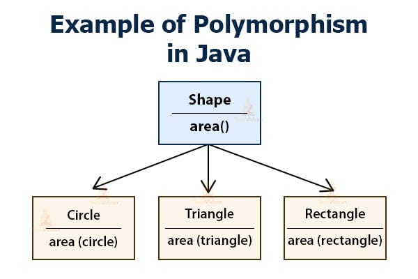Polymorphism in Java OOP: A Practical Guide with Real Examples