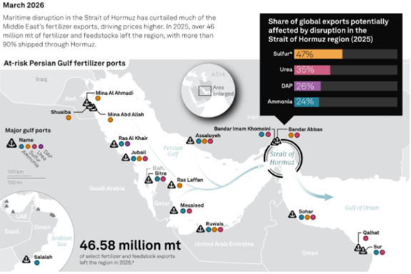 Whose Throat is the Strait of Hormuz Gripping?
