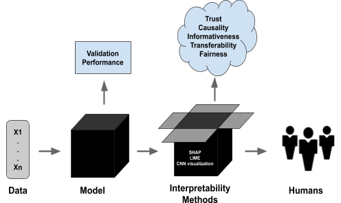 Demystifying LLM: Ensuring Transparency and Understandability