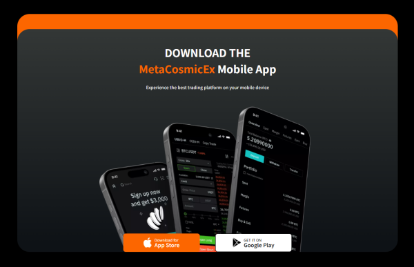 SolidRock Investments LTD Scam: Victim’s $807,000 Ordeal via MetacosmicEX