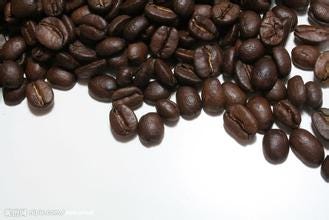 Panama Boquete Geisha Mariposa Premium Coffee Beans: Cultivation Conditions, Geography, and Climate