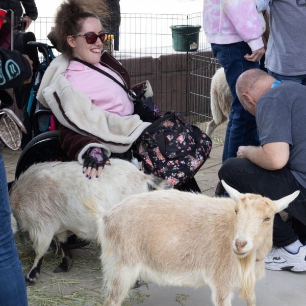 person in a wheelchair petting a goat at a petting zoo