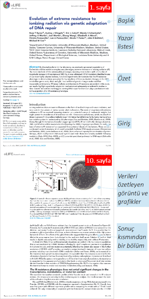 Şekil 1. Bir araştırma makalesinin ilk ve 10. sayfaları (Kaynak: Byrne vd., 2014)