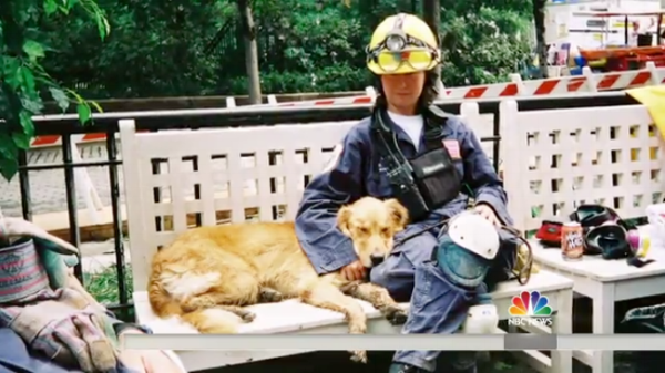 Source: TODAY. Corliss and Bretagne taking a rest from the rescue.