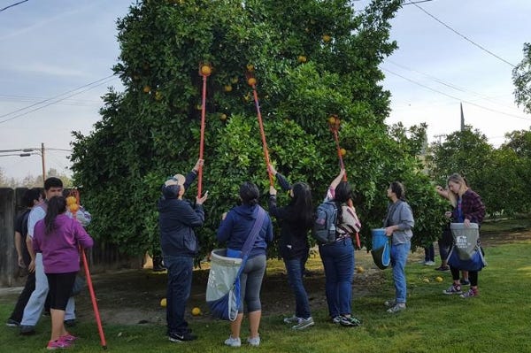 Volunteers aiming high!